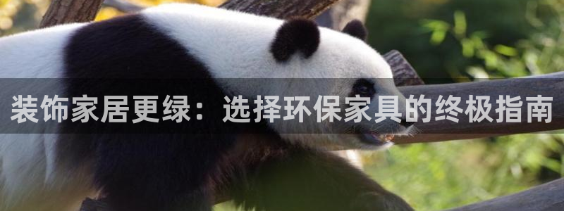 杏耀平台登陆地址