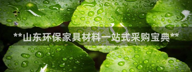 杏耀平台代理怎么赚钱快