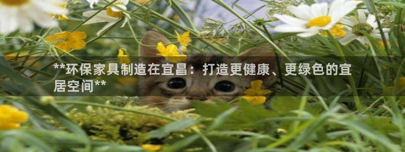 杏耀平台登录网址是什么