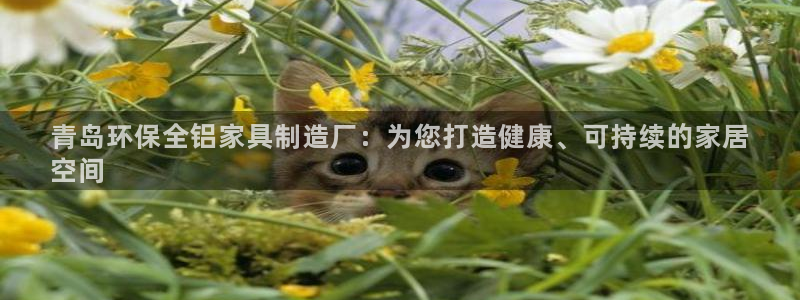 杏耀平台还在吗