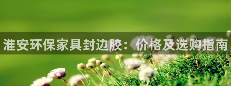 杏耀代理日工资多少