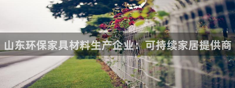 杏耀平台测速登录：山东环保家具材料生产企业：可持续家居提供商