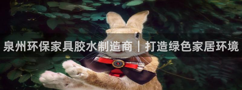 杏耀代理日工资多少：泉州环保家具胶水制造商｜打造绿色家居环境