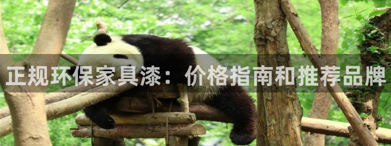 杏耀平台官网网址：正规环保家具漆：价格指南和推荐品牌