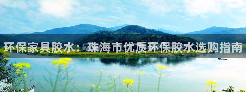 杏耀平台登录网站：环保家具胶水：珠海市优质环保胶水选购指南