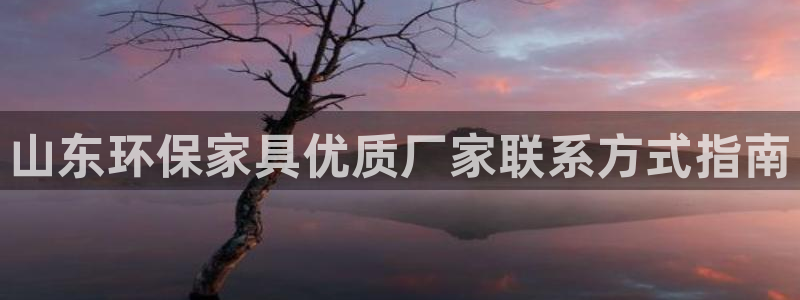 杏耀平台注册登录：山东环保家具优质厂家联系方式指南