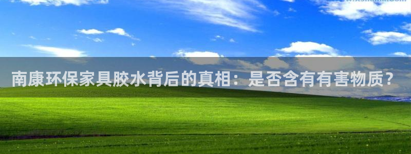 杏耀平台登录网站：南康环保家具胶水背后的真相：是否含有有害物
