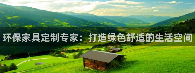 杏耀代理连接：环保家具定制专家：打造绿色舒适的生活空间