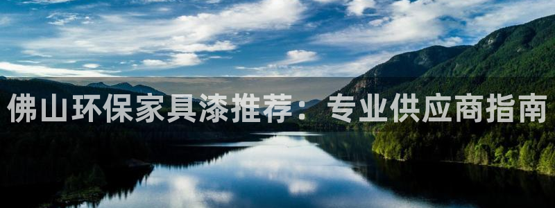 杏耀代理1980：佛山环保家具漆推荐：专业供应商指南