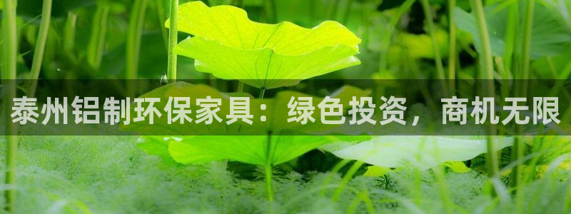 杏耀平台登录网址：泰州铝制环保家具：绿色投资，商机无限