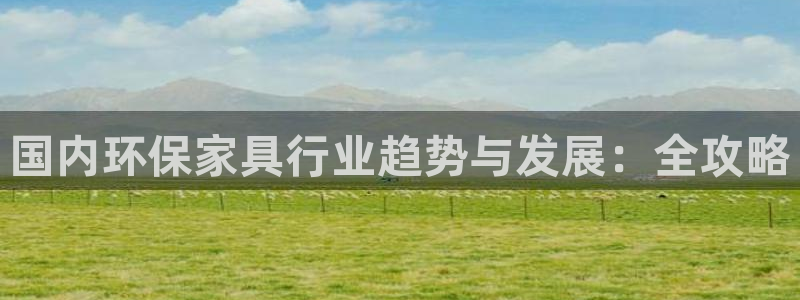 杏耀代理注册中心：国内环保家具行业趋势与发展：全攻略
