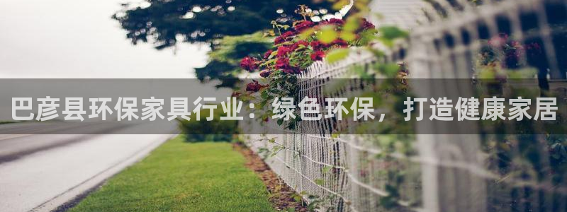 杏耀平台黑款：巴彦县环保家具行业：绿色环保，打造健康家居
