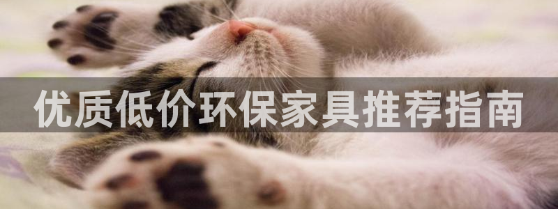 杏耀平台手机app：优质低价环保家具推荐指南