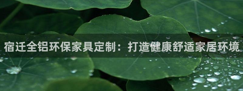 杏耀注册链接：宿迁全铝环保家具定制：打造健康舒适家居环境