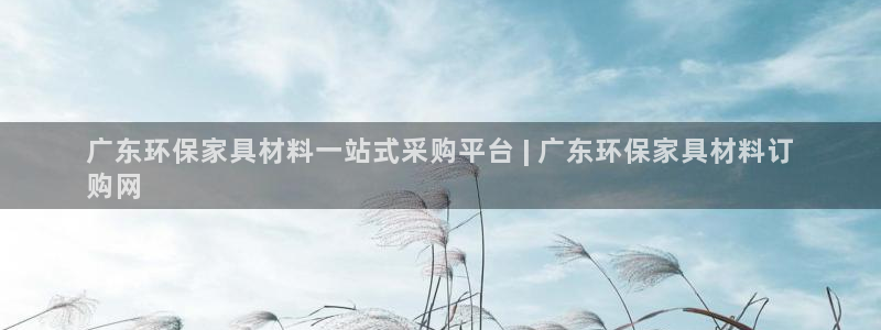 杏耀平台官方登录：广东环保家具材料一站式采购平台 | 广东环