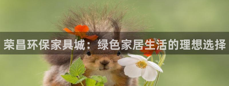 杏耀平台是真的吗：荣昌环保家具城：绿色家居生活的理想选择