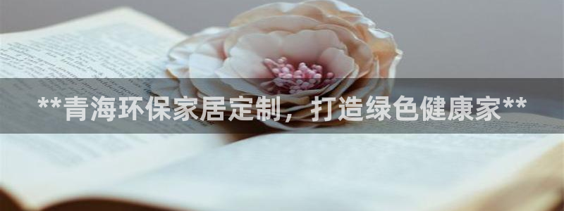 杏耀软件