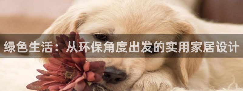 杏耀平台待遇