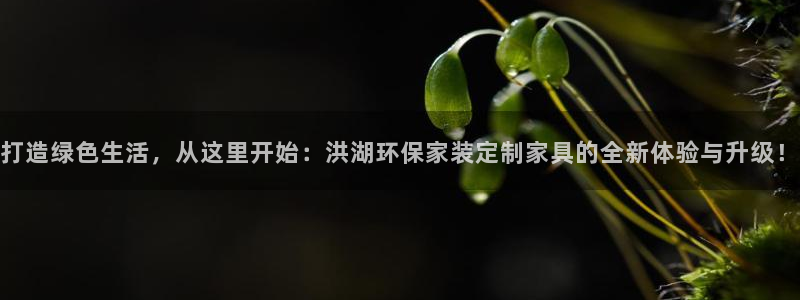 杏耀登入官网