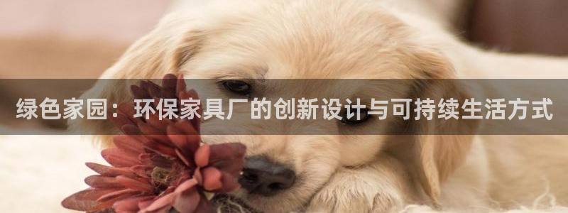 杏耀平台服务中心