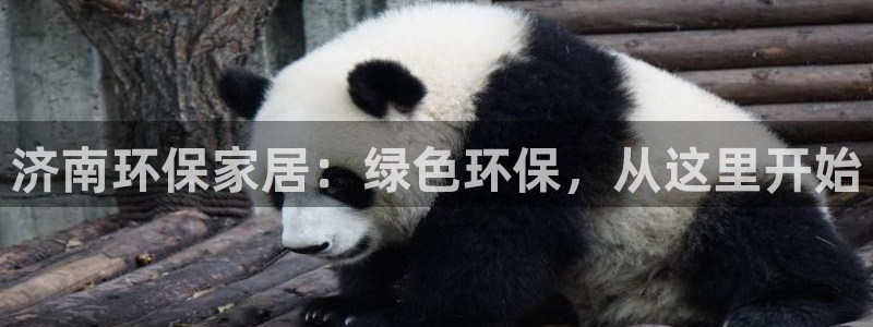 杏耀客户端登陆