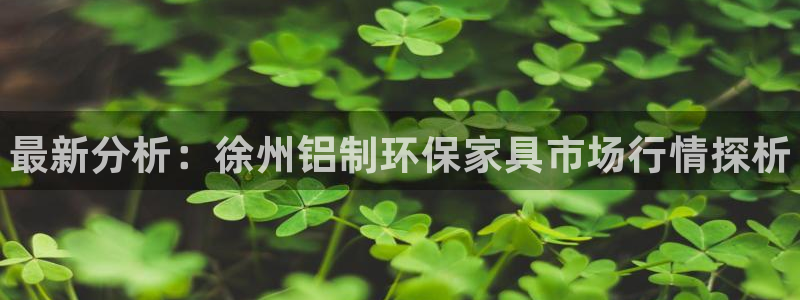 杏耀平台几年了：最新分析：徐州铝制环保家具市场行情探析