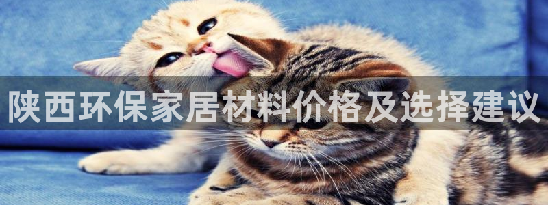 杏耀平台代理怎么赚钱：陕西环保家居材料价格及选择建议