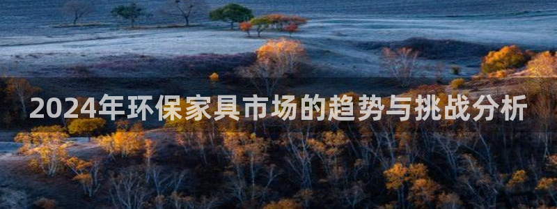 杏耀平台线路测速：2024年环保家具市场的趋势与挑战分析