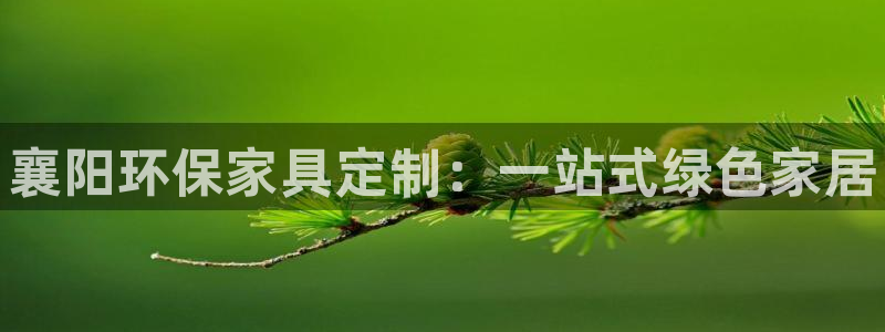 杏耀平台官网下载：襄阳环保家具定制：一站式绿色家居