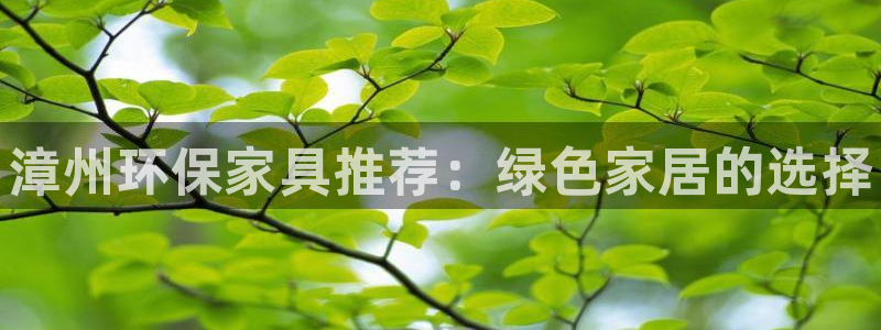 杏耀平台没有了：漳州环保家具推荐：绿色家居的选择