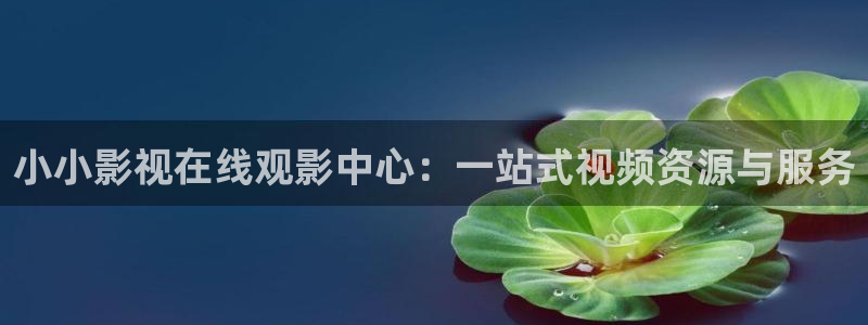 五杀影院官网在线：小小影视在线观影中心：一站式视频资源与服务