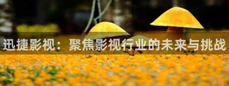 五杀影院在线免费观看：迅捷影视：聚焦影视行业的未来与挑战
