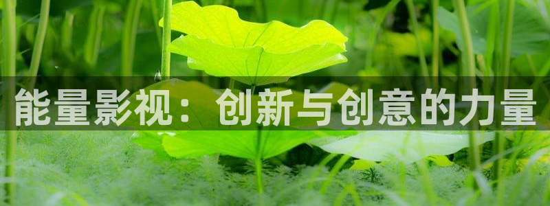 五杀影院电影大全：能量影视：创新与创意的力量