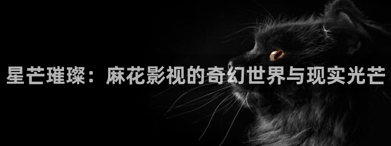 五杀影院在线观看：星芒璀璨：麻花影视的奇幻世界与现实光芒