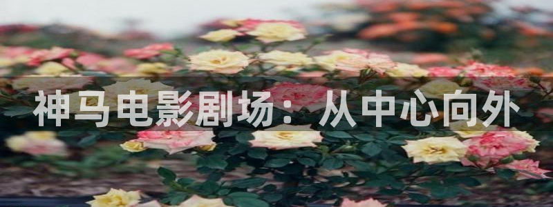 五杀影院免费观看入口：神马电影剧场：从中心向外