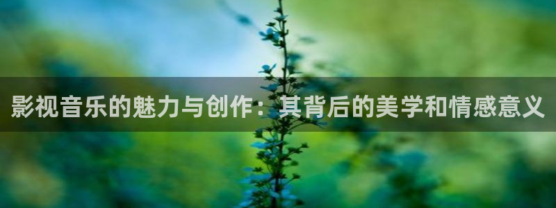 五杀影院在线观看免费播放：影视音乐的魅力与创作：其背后的美学和情感意义