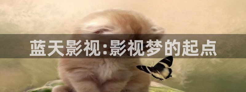 五杀影院高清在线观看：蓝天影视:影视梦的起点
