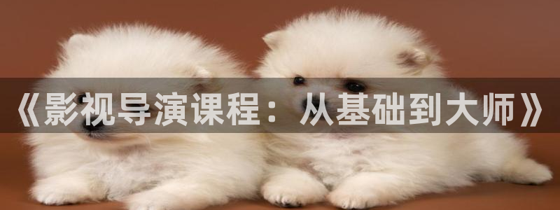 五杀影院免费高清完整：《影视导演课程：从基础到大师》