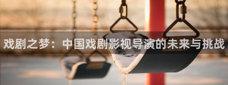 五杀影院电影大全：戏剧之梦：中国戏剧影视导演的未来与挑战